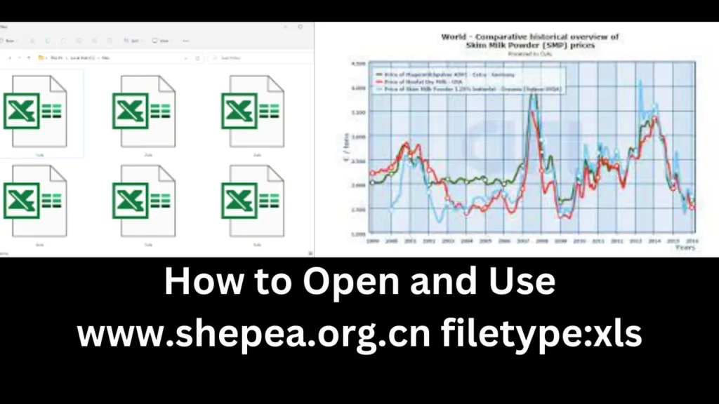 How to Open and Use www.shepea.org.cn filetype:xls